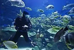 Ayia Napa Apartment * 圣纳帕